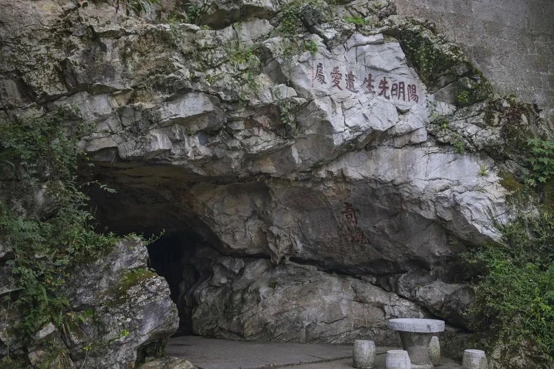 章节配图