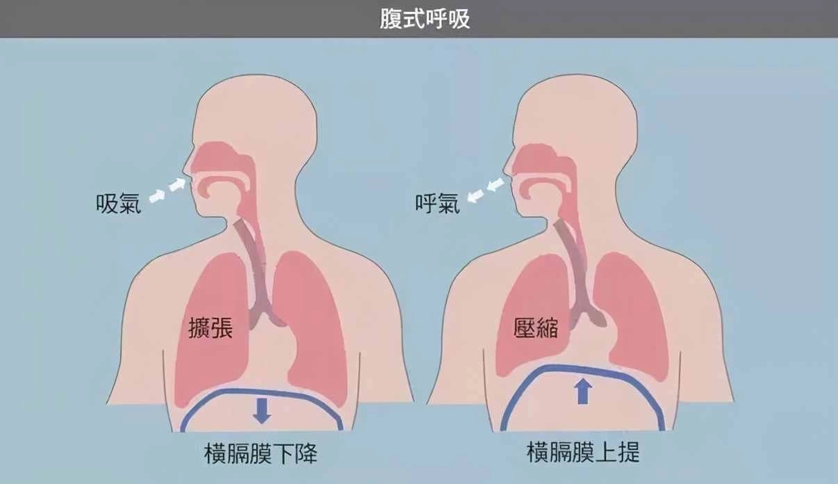 章节配图